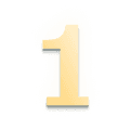 Step 1 icon